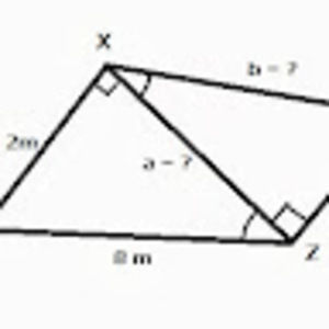 Meet your Posher, Joyce